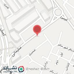 عکس فروشگاه سورنا 311