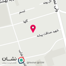 عکس گالری طلای امیر حسین چوپانی