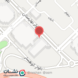 عکس پیتزا و ساندویچ الی