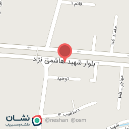 عکس فست فود نشا