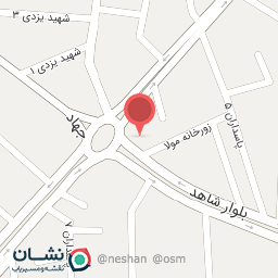 عکس پیتزا هانی