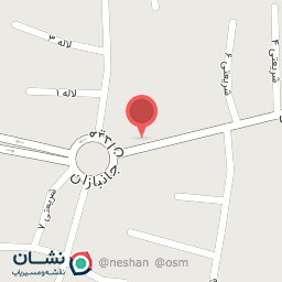 عکس خشکشویی دانیال