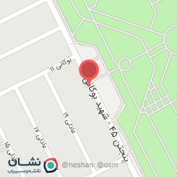 عکس آبمیوه بستنی شادمهر