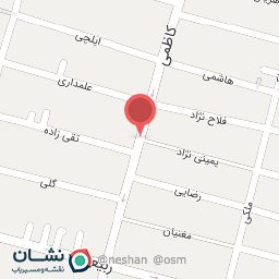 عکس پیتزا تپل