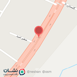 عکس پیتزا پلارا