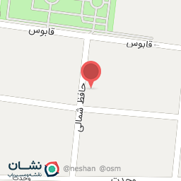 عکس کیف و کفش ست Set