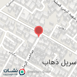 عکس الکتریکی میثم