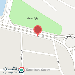 عکس تزئینات اتومبیل باغبانی