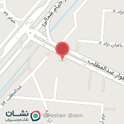 عکس فرش حسینی