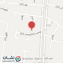 عکس دکتر محمدامین روشن پور