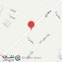 عکس تزئینات اتومبیل شروین 