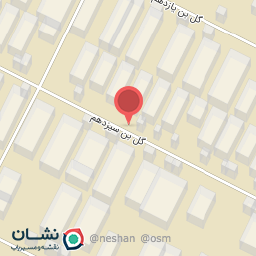 عکس افضلی استون