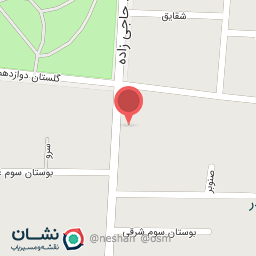 عکس آجیل و خشکبار کاج