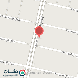 عکس الکتریکی مزاری