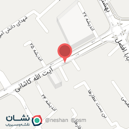 عکس همراه دیتاسل