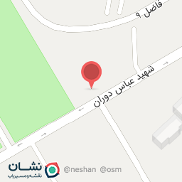 عکس پیتزا همبر روناک