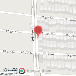 عکس کفش پایار