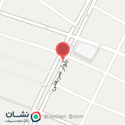 عکس فست فود لمون