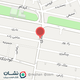 عکس آرین پلمر