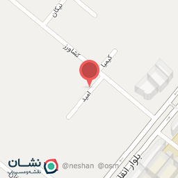 عکس دزدگیر امیر