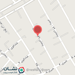 عکس پرنده فروشی