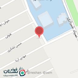 عکس خودپرداز