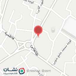 عکس مرغ تک شیراز شعبه 2 باقرپور