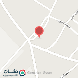 عکس پیتزا امیر