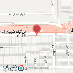 عکس دکتر مریم لطیفی مقدم