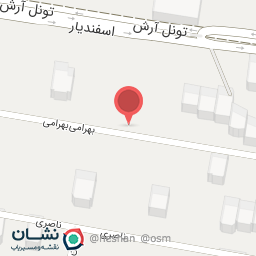 عکس دکتر رقیه شمس الدینی