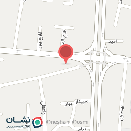 عکس فست فود نیوسان