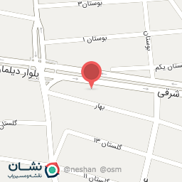 عکس طراحی سایت دیلمان