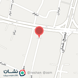 عکس کنتاویچ