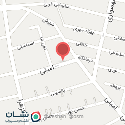 عکس فست فود