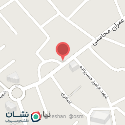 عکس نهایت سرعت - آنا سیستم