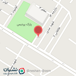 عکس فست فود دلی شز