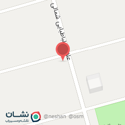 عکس طلای محمد