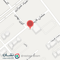 عکس کیف و کفش شیکوپیک