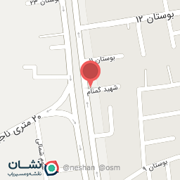 عکس ساندویچی توپولی