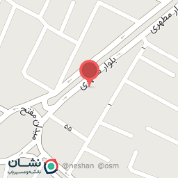 عکس پالاز موکت