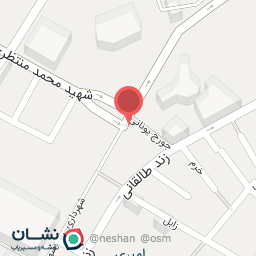 عکس فلافلی نسیم