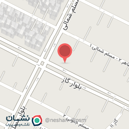 عکس فرش دینا (محصولی از شرکت مه ترنج تهران)