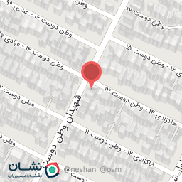 عکس قفل و دزدگیر دقت