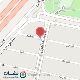 عکس مکانیکی و باطری سازی رالی سرویس