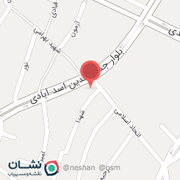 عکس پیتزا پرند