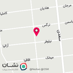 عکس فست فود فریک