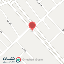 عکس تزئینات اتومبیل رضا