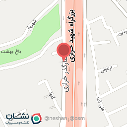 عکس پیتزا پک