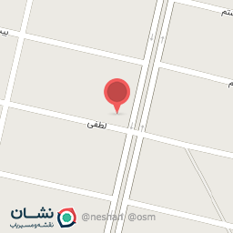 عکس پیتزا دنج امین