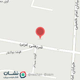 عکس فرش علی زائرکعبه